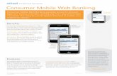 Consumer Mobile Web Banking