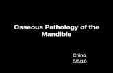 Osseous Pathology of the Mandible - UCSD Musculoskeletal Radiology