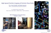 High Speed Particle Imaging of Particle Flow Fields