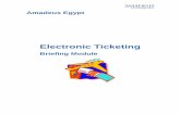 Electronic Ticketing - Amadeus Egypt Support