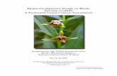 Epipactis gigantea Dougl. ex Hook. (stream orchid): A Technical