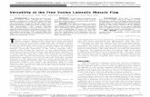 Versatility of the Free Vastus Lateralis Muscle Flap