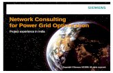 Network Consulting for Power Grid Optimization