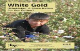 White Gold; Uzbekistan, slave nation for our cotton?