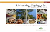 Molecular Markers for Tropical Trees - Agroforestry