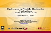 Challenges in Flexible Electronics Technology