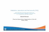 Adaptation, Agriculture and food security (FAO)