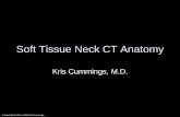Soft Tissue Neck CT Anatomy - Division of Nuclear Medicine - Home