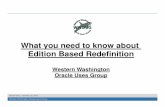 What you need to know about Edition Based Redefinition