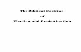 The Biblical Doctrine of Election and Predestination