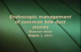 Endoscopic management of common bile duct stones