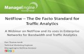 NetFlow â€“ The De Facto Standard for Traffic Analytics