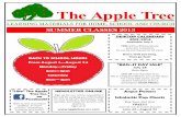 SUMMER CLASSES 2013 - The Apple Tree - Tulsa OK - Learning