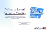 What is Lean? What is Waste? - ABIDIAN Business Consultants