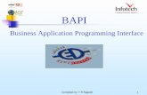 Business Application Programming Interface