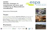 ACES: Abrupt changes in ecosystem services and wellbeing in