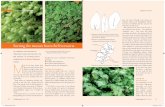 Sorting the mosses from the liverworts - Redirection page