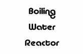 Boiling Water Reactor - Union of Concerned Scientists