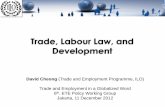 Trade, Labour Law, and Development