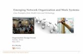 Emerging Network Organization and Work Systems