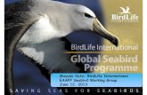 Mayumi Sato: BirdLife International Mayumi Sato EAAFP Seabird