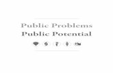 Public Problems Public Potential