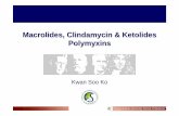 Macrolides, Clindamycin & Ketolides Polymyxins