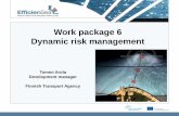 Work package 6 Dynamic risk management