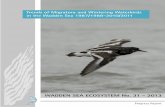 Trends of Migratory and Wintering Waterbirds in the Wadden Sea