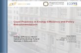 Good Practices in Energy Efficiency and Policy Recommendations