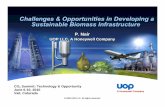 Challenges and Opportunities in Developing a Sustainable Biomass Infrastructure