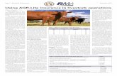 Using AGR-Lite insurance in livestock operations