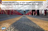 Central Monitoring of SAP NetWeaver Process Integration 7.3