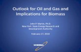 Outlook for Oil and Gas and Implications for Biomass