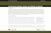 BLACK BLOC RISING: SOCIAL NETWORKS IN BRAZIL