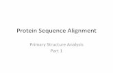 Protein Sequence Alignment