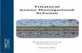 Trilateral Goose Management Scheme