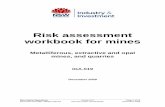 Risk assessment workbook for mines - NSW Department of Primary