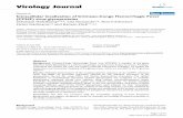 Intracellular localization of Crimean-Congo Hemorrhagic Fever
