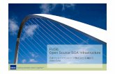 FUSE Open Source SOA Infrastructure