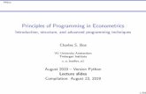 Principles of Programming in Econometrics
