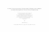 In Vitro Characterization of Injectable Collagen and ...