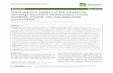 Transcriptomic analysis of the oleaginous microalga Neochloris