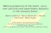 Melting properties of the smelt, carry- over particles and