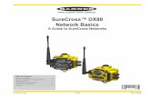 SureCrossâ„¢ DX80 Network Basics