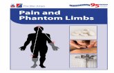 1918-2013 Pain and Phantom Limbs - Steinmann Prosthetics
