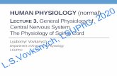 HUMAN PHYSIOLOGY (normal) 2020