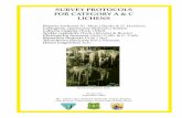 Survey Protocols for Lichens