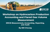 Workshop on Hydrocarbon Production Accounting and Flared Gas
