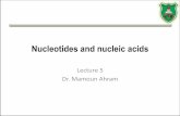 Nucleotides and nucleic acids -   - Get a Free